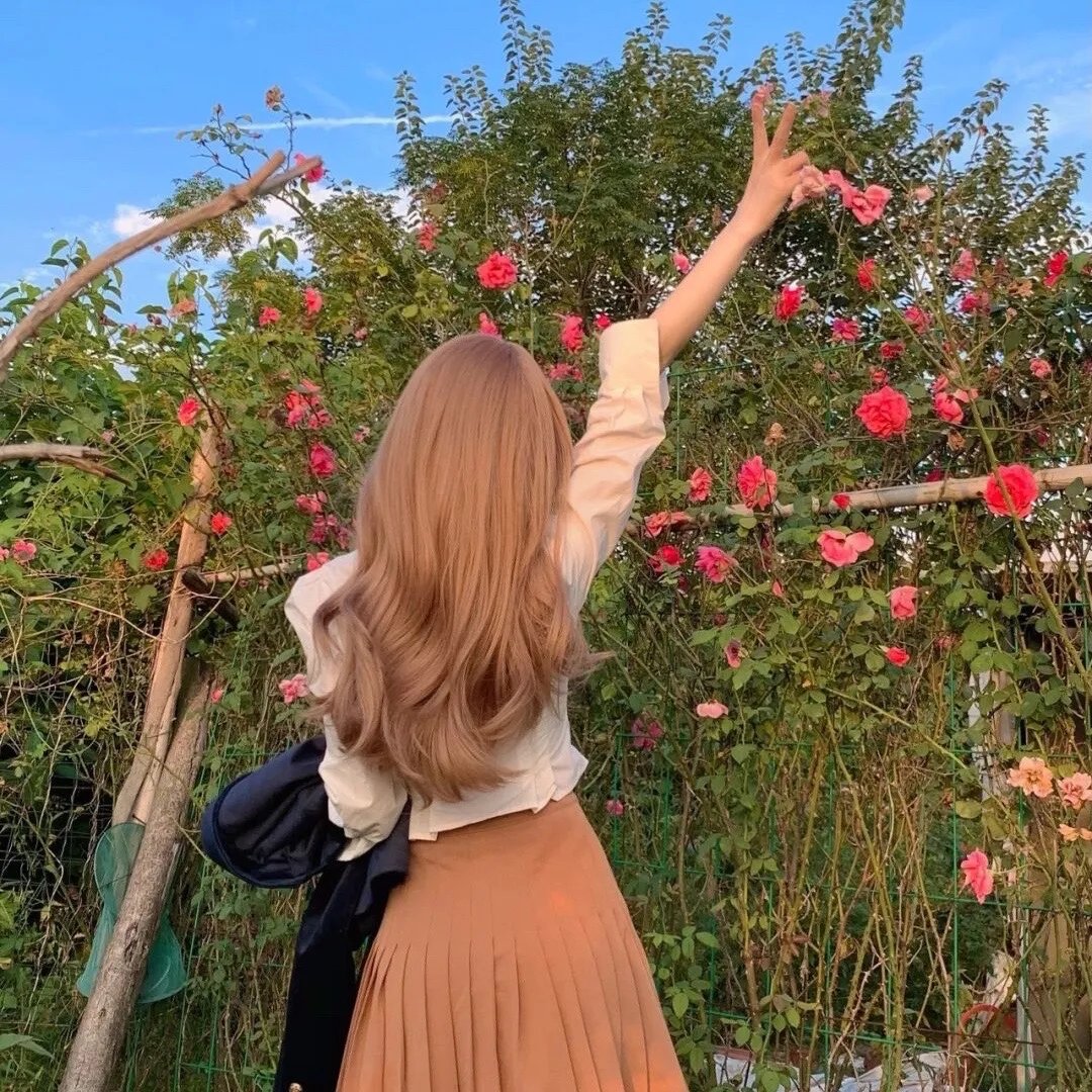 蒲公英的灰尘